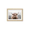 Picture of Hairy Brown _GroupedProduct_Rectangle_Landscape_Photography _GroupedProduct_Rectangle_Landscape_Framed_Matted_
