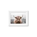 Picture of Hairy Brown _GroupedProduct_Rectangle_Landscape_Photography _GroupedProduct_Rectangle_Landscape_Framed_Matted_
