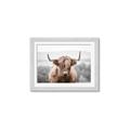 Picture of Hairy Brown _GroupedProduct_Rectangle_Landscape_Photography _GroupedProduct_Rectangle_Landscape_Framed_Matted_