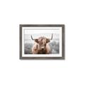 Picture of Hairy Brown _GroupedProduct_Rectangle_Landscape_Photography _GroupedProduct_Rectangle_Landscape_Framed_Matted_