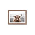 Picture of Hairy Brown _GroupedProduct_Rectangle_Landscape_Photography _GroupedProduct_Rectangle_Landscape_Framed_Matted_