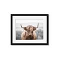 Picture of Hairy Brown _GroupedProduct_Rectangle_Landscape_Photography _GroupedProduct_Rectangle_Landscape_Framed_Matted_