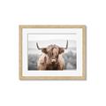 Picture of Hairy Brown _GroupedProduct_Rectangle_Landscape_Photography _GroupedProduct_Rectangle_Landscape_Framed_Matted_
