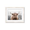 Picture of Hairy Brown _GroupedProduct_Rectangle_Landscape_Photography _GroupedProduct_Rectangle_Landscape_Framed_Matted_