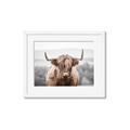 Picture of Hairy Brown _GroupedProduct_Rectangle_Landscape_Photography _GroupedProduct_Rectangle_Landscape_Framed_Matted_