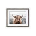 Picture of Hairy Brown _GroupedProduct_Rectangle_Landscape_Photography _GroupedProduct_Rectangle_Landscape_Framed_Matted_