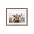 Picture of Hairy Brown _GroupedProduct_Rectangle_Landscape_Photography _GroupedProduct_Rectangle_Landscape_Framed_Matted_