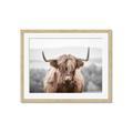 Picture of Hairy Brown _GroupedProduct_Rectangle_Landscape_Photography _GroupedProduct_Rectangle_Landscape_Framed_Matted_