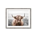 Picture of Hairy Brown _GroupedProduct_Rectangle_Landscape_Photography _GroupedProduct_Rectangle_Landscape_Framed_Matted_