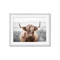 Picture of Hairy Brown _GroupedProduct_Rectangle_Landscape_Photography _GroupedProduct_Rectangle_Landscape_Framed_Matted_