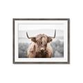 Picture of Hairy Brown _GroupedProduct_Rectangle_Landscape_Photography _GroupedProduct_Rectangle_Landscape_Framed_Matted_