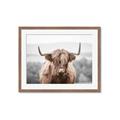 Picture of Hairy Brown _GroupedProduct_Rectangle_Landscape_Photography _GroupedProduct_Rectangle_Landscape_Framed_Matted_