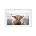 Picture of Hairy Brown _GroupedProduct_Rectangle_Landscape_Photography _GroupedProduct_Rectangle_Landscape_Framed_Matted_