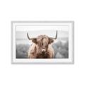 Picture of Hairy Brown _GroupedProduct_Rectangle_Landscape_Photography _GroupedProduct_Rectangle_Landscape_Framed_Matted_