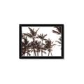Picture of Cali Palms Sepia Collection _GroupedProduct_Rectangle_Landscape_Photography _GroupedProduct_Rectangle_Landscape_Framed_Matted_