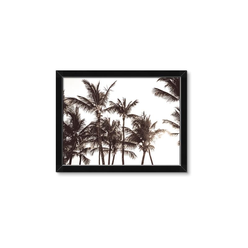 Picture of Cali Palms Sepia Collection _GroupedProduct_Rectangle_Landscape_Photography _GroupedProduct_Rectangle_Landscape_Framed_Matted_