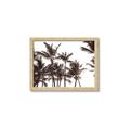 Picture of Cali Palms Sepia Collection _GroupedProduct_Rectangle_Landscape_Photography _GroupedProduct_Rectangle_Landscape_Framed_Matted_