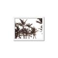 Picture of Cali Palms Sepia Collection _GroupedProduct_Rectangle_Landscape_Photography _GroupedProduct_Rectangle_Landscape_Framed_Matted_