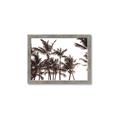Picture of Cali Palms Sepia Collection _GroupedProduct_Rectangle_Landscape_Photography _GroupedProduct_Rectangle_Landscape_Framed_Matted_