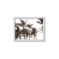 Picture of Cali Palms Sepia Collection _GroupedProduct_Rectangle_Landscape_Photography _GroupedProduct_Rectangle_Landscape_Framed_Matted_