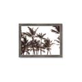 Picture of Cali Palms Sepia Collection _GroupedProduct_Rectangle_Landscape_Photography _GroupedProduct_Rectangle_Landscape_Framed_Matted_