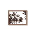 Picture of Cali Palms Sepia Collection _GroupedProduct_Rectangle_Landscape_Photography _GroupedProduct_Rectangle_Landscape_Framed_Matted_
