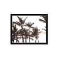 Picture of Cali Palms Sepia Collection _GroupedProduct_Rectangle_Landscape_Photography _GroupedProduct_Rectangle_Landscape_Framed_Matted_