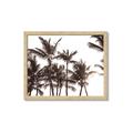 Picture of Cali Palms Sepia Collection _GroupedProduct_Rectangle_Landscape_Photography _GroupedProduct_Rectangle_Landscape_Framed_Matted_