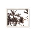 Picture of Cali Palms Sepia Collection _GroupedProduct_Rectangle_Landscape_Photography _GroupedProduct_Rectangle_Landscape_Framed_Matted_