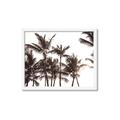 Picture of Cali Palms Sepia Collection _GroupedProduct_Rectangle_Landscape_Photography _GroupedProduct_Rectangle_Landscape_Framed_Matted_
