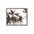 Picture of Cali Palms Sepia Collection _GroupedProduct_Rectangle_Landscape_Photography _GroupedProduct_Rectangle_Landscape_Framed_Matted_