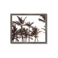 Picture of Cali Palms Sepia Collection _GroupedProduct_Rectangle_Landscape_Photography _GroupedProduct_Rectangle_Landscape_Framed_Matted_