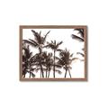 Picture of Cali Palms Sepia Collection _GroupedProduct_Rectangle_Landscape_Photography _GroupedProduct_Rectangle_Landscape_Framed_Matted_