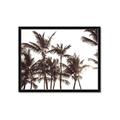 Picture of Cali Palms Sepia Collection _GroupedProduct_Rectangle_Landscape_Photography _GroupedProduct_Rectangle_Landscape_Framed_Matted_