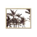 Picture of Cali Palms Sepia Collection _GroupedProduct_Rectangle_Landscape_Photography _GroupedProduct_Rectangle_Landscape_Framed_Matted_