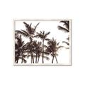 Picture of Cali Palms Sepia Collection _GroupedProduct_Rectangle_Landscape_Photography _GroupedProduct_Rectangle_Landscape_Framed_Matted_