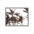 Picture of Cali Palms Sepia Collection _GroupedProduct_Rectangle_Landscape_Photography _GroupedProduct_Rectangle_Landscape_Framed_Matted_
