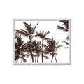 Picture of Cali Palms Sepia Collection _GroupedProduct_Rectangle_Landscape_Photography _GroupedProduct_Rectangle_Landscape_Framed_Matted_