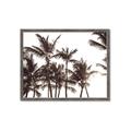 Picture of Cali Palms Sepia Collection _GroupedProduct_Rectangle_Landscape_Photography _GroupedProduct_Rectangle_Landscape_Framed_Matted_