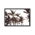 Picture of Cali Palms Sepia Collection _GroupedProduct_Rectangle_Landscape_Photography _GroupedProduct_Rectangle_Landscape_Framed_Matted_