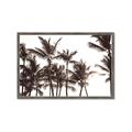 Picture of Cali Palms Sepia Collection _GroupedProduct_Rectangle_Landscape_Photography _GroupedProduct_Rectangle_Landscape_Framed_Matted_