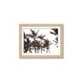 Picture of Cali Palms Sepia Collection _GroupedProduct_Rectangle_Landscape_Photography _GroupedProduct_Rectangle_Landscape_Framed_Matted_