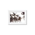 Picture of Cali Palms Sepia Collection _GroupedProduct_Rectangle_Landscape_Photography _GroupedProduct_Rectangle_Landscape_Framed_Matted_