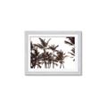 Picture of Cali Palms Sepia Collection _GroupedProduct_Rectangle_Landscape_Photography _GroupedProduct_Rectangle_Landscape_Framed_Matted_