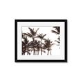 Picture of Cali Palms Sepia Collection _GroupedProduct_Rectangle_Landscape_Photography _GroupedProduct_Rectangle_Landscape_Framed_Matted_
