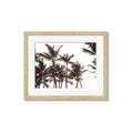 Picture of Cali Palms Sepia Collection _GroupedProduct_Rectangle_Landscape_Photography _GroupedProduct_Rectangle_Landscape_Framed_Matted_