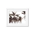 Picture of Cali Palms Sepia Collection _GroupedProduct_Rectangle_Landscape_Photography _GroupedProduct_Rectangle_Landscape_Framed_Matted_