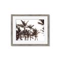 Picture of Cali Palms Sepia Collection _GroupedProduct_Rectangle_Landscape_Photography _GroupedProduct_Rectangle_Landscape_Framed_Matted_