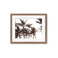 Picture of Cali Palms Sepia Collection _GroupedProduct_Rectangle_Landscape_Photography _GroupedProduct_Rectangle_Landscape_Framed_Matted_