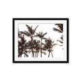 Picture of Cali Palms Sepia Collection _GroupedProduct_Rectangle_Landscape_Photography _GroupedProduct_Rectangle_Landscape_Framed_Matted_